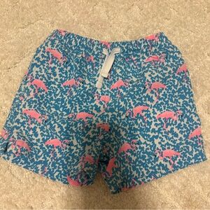 Toddler boys chubbies bathing suit